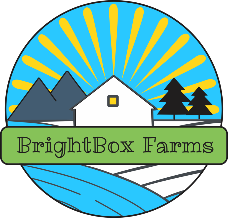 BrightBox Logo 768x735